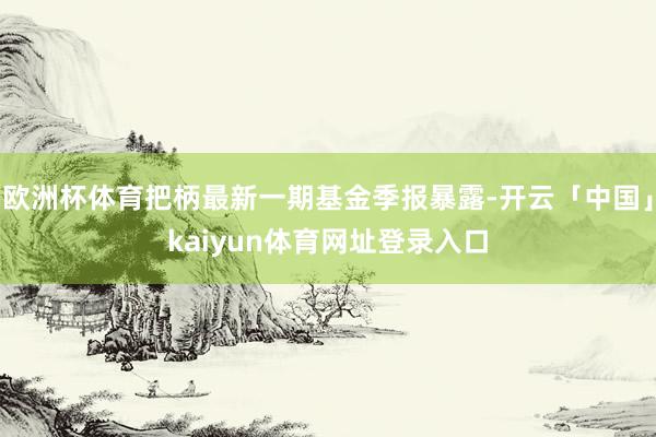 欧洲杯体育把柄最新一期基金季报暴露-开云「中国」kaiyun体育网址登录入口