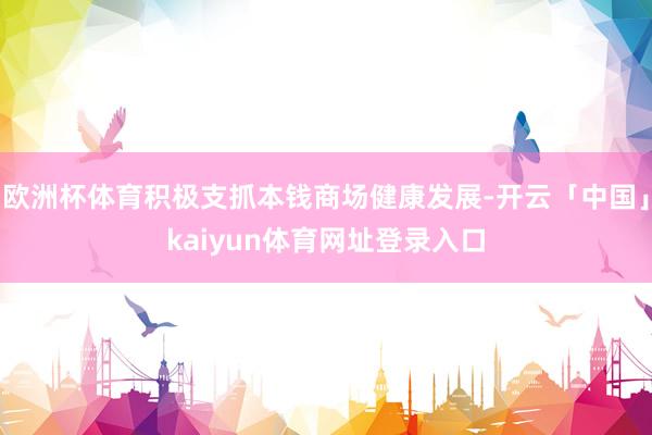 欧洲杯体育积极支抓本钱商场健康发展-开云「中国」kaiyun体育网址登录入口