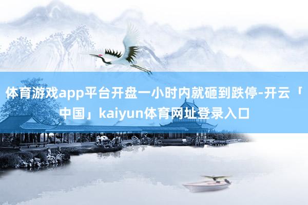 体育游戏app平台开盘一小时内就砸到跌停-开云「中国」kaiyun体育网址登录入口