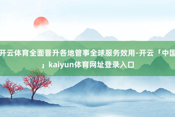 开云体育全面晋升各地管事全球服务效用-开云「中国」kaiyun体育网址登录入口