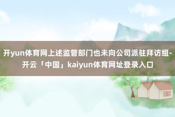 开yun体育网上述监管部门也未向公司派驻拜访组-开云「中国」kaiyun体育网址登录入口