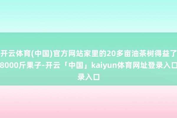 开云体育(中国)官方网站家里的20多亩油茶树得益了8000斤果子-开云「中国」kaiyun体育网址登录入口