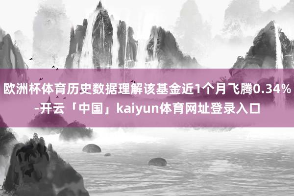 欧洲杯体育历史数据理解该基金近1个月飞腾0.34%-开云「中国」kaiyun体育网址登录入口